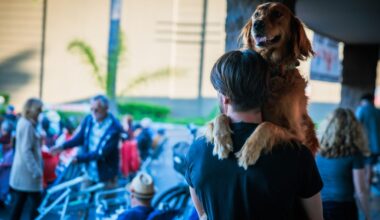 Things to do in Long Beach: Post 4th of July clean-ups, outdoor concerts, movies, World Cup games, and more!