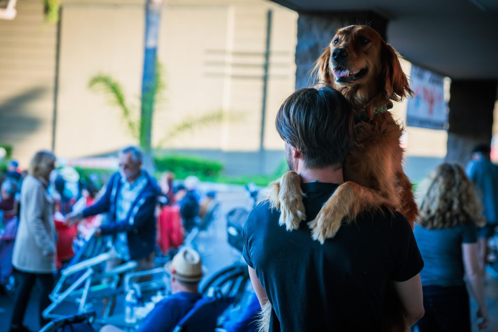 Things to do in Long Beach: Post 4th of July clean-ups, outdoor concerts, movies, World Cup games, and more!