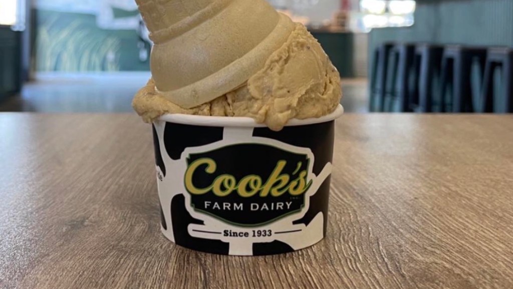 Dairy group celebrates with a free scoop in Ortonville – The Oakland Press