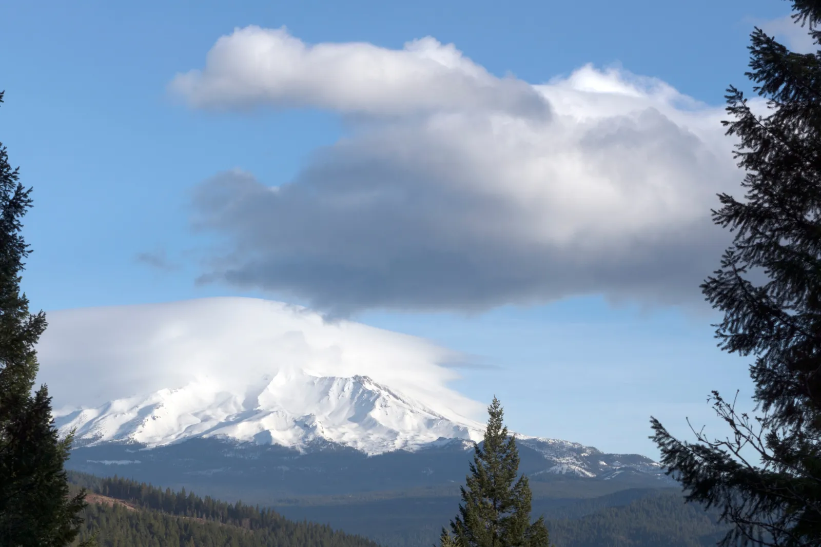 Distant views of looming Mount Shasta, located at the southern end of the Cascade Range in Siskiyou County, California.