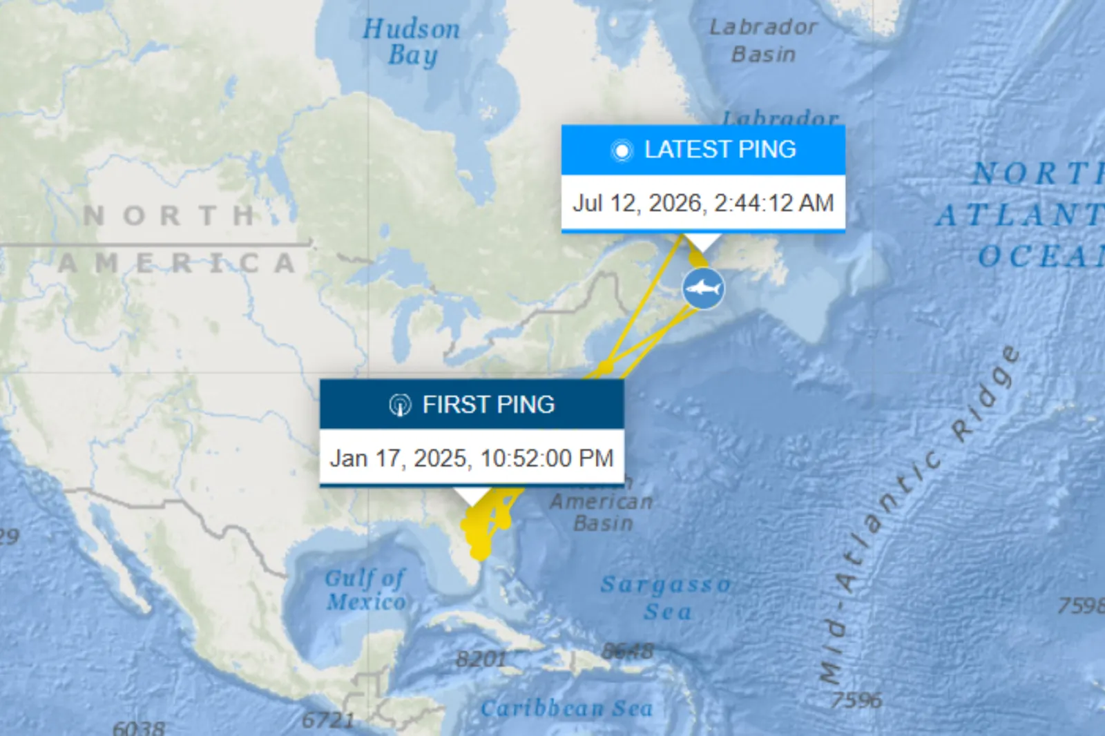 A map shows Ernst's direction of travel| OCEARCH