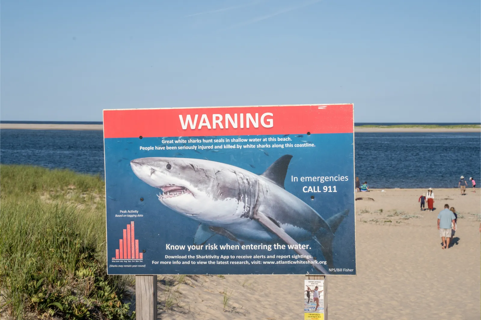 A Great White Shark warning sign on the Chatham Lighthouse beach in Massachusetts on July 9, 2022.