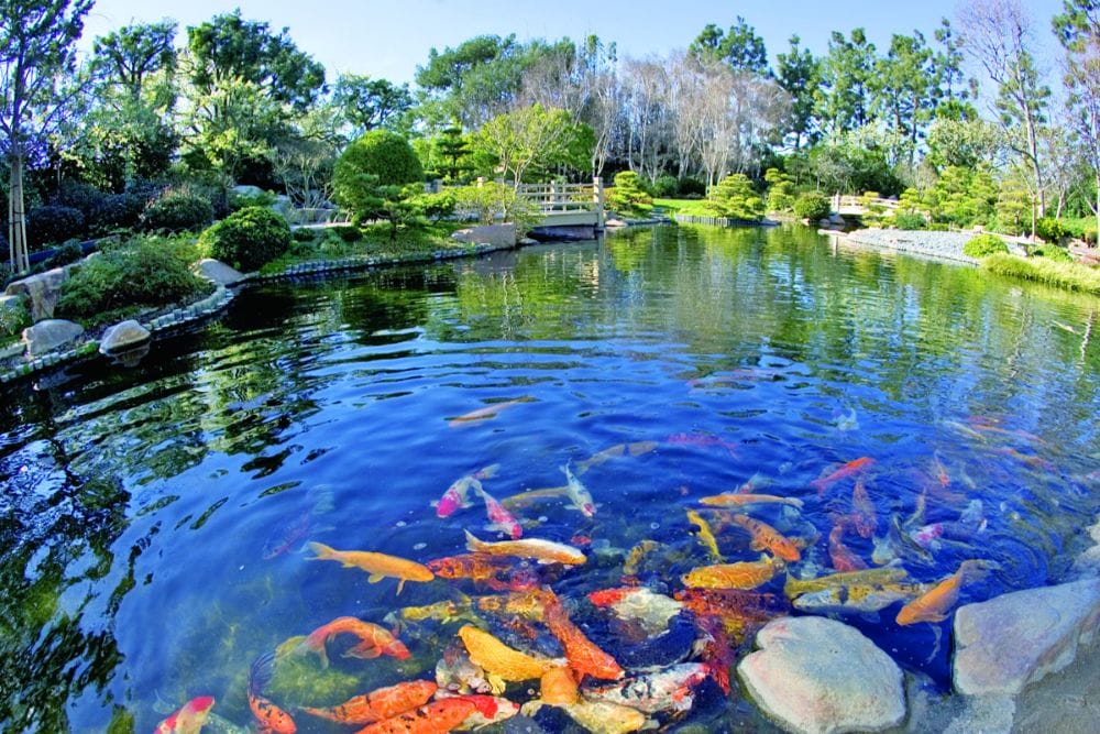Best Long Beach Attractions