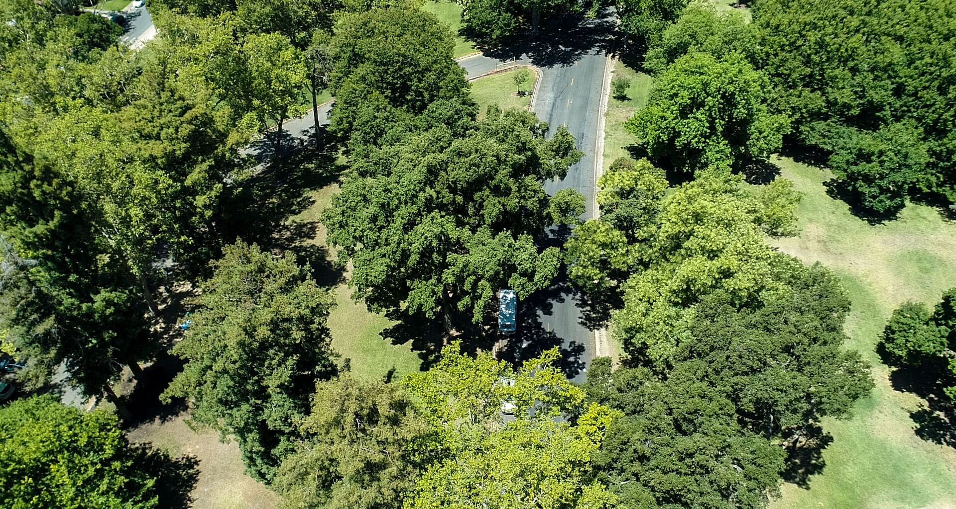 Neighbors call for road closures in Land Park, await city reponse