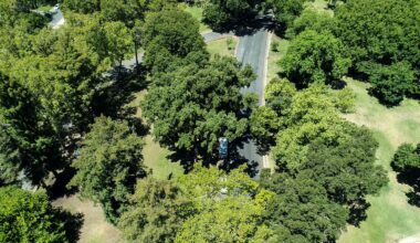 Neighbors call for road closures in Land Park, await city reponse