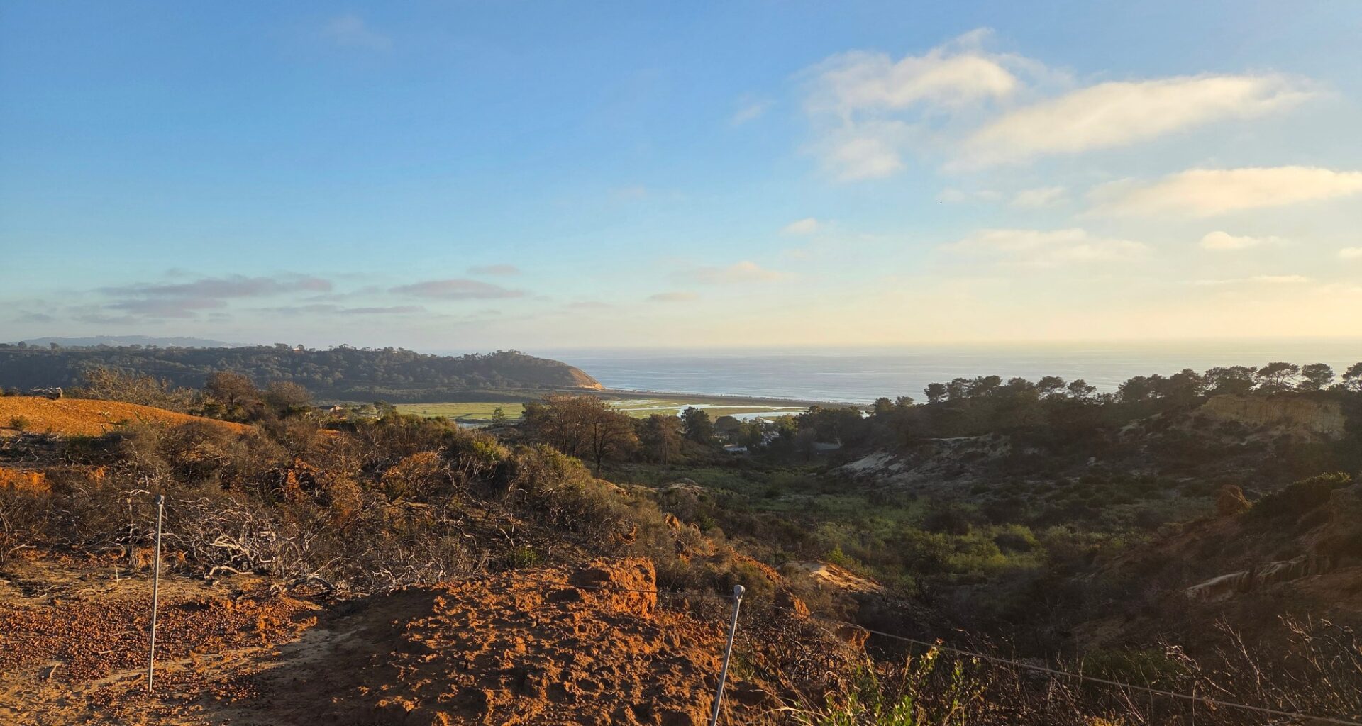Del Mar Heights Fire Safety Council wins grant to reduce wildfire risk in Crest Canyon – San Diego Union-Tribune