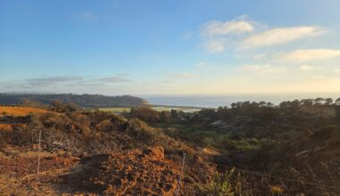 Del Mar Heights Fire Safety Council wins grant to reduce wildfire risk in Crest Canyon – San Diego Union-Tribune