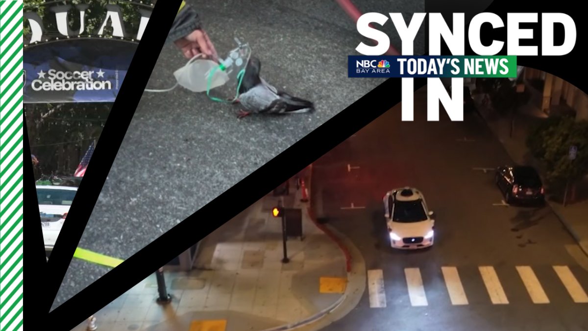 In the news: Alleged robotaxi attack, Oakland firefighter helps pigeon, Bay Area watch parties – NBC Bay Area