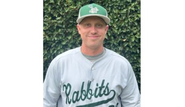 Davis Towne LB Poly Web