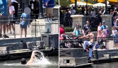 Disneyland employee jumps into Rivers of America shirtless