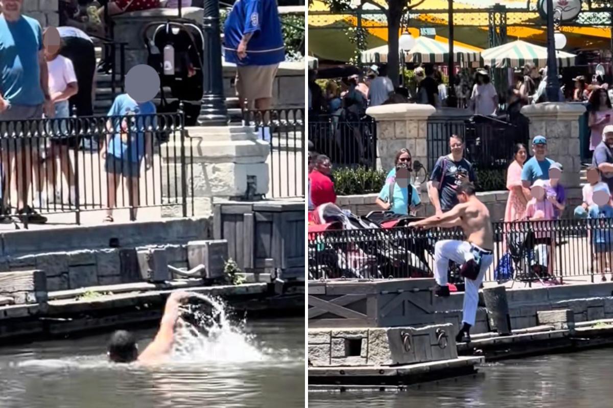 Disneyland employee jumps into Rivers of America shirtless