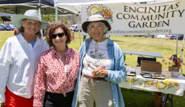 City of Encinitas and I Love A Clean San Diego host EcoFest – San Diego Union-Tribune
