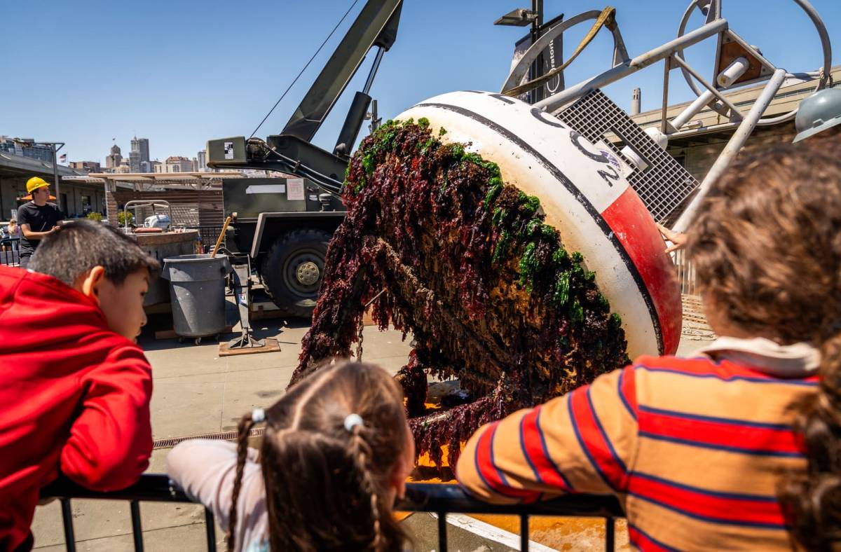 On just one day a year: SF’s Exploratorium is pulling its giant NOAA research buoy out of the water on Saturday, and visitors are invited to come check it out