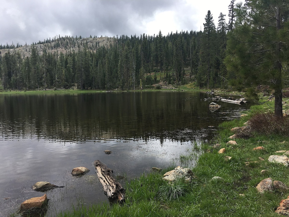 U.S. Forest Service employees freed after hostage ordeal in in California