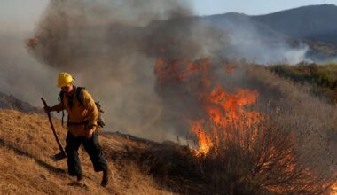 (AP Photo/Caroline Brehman)