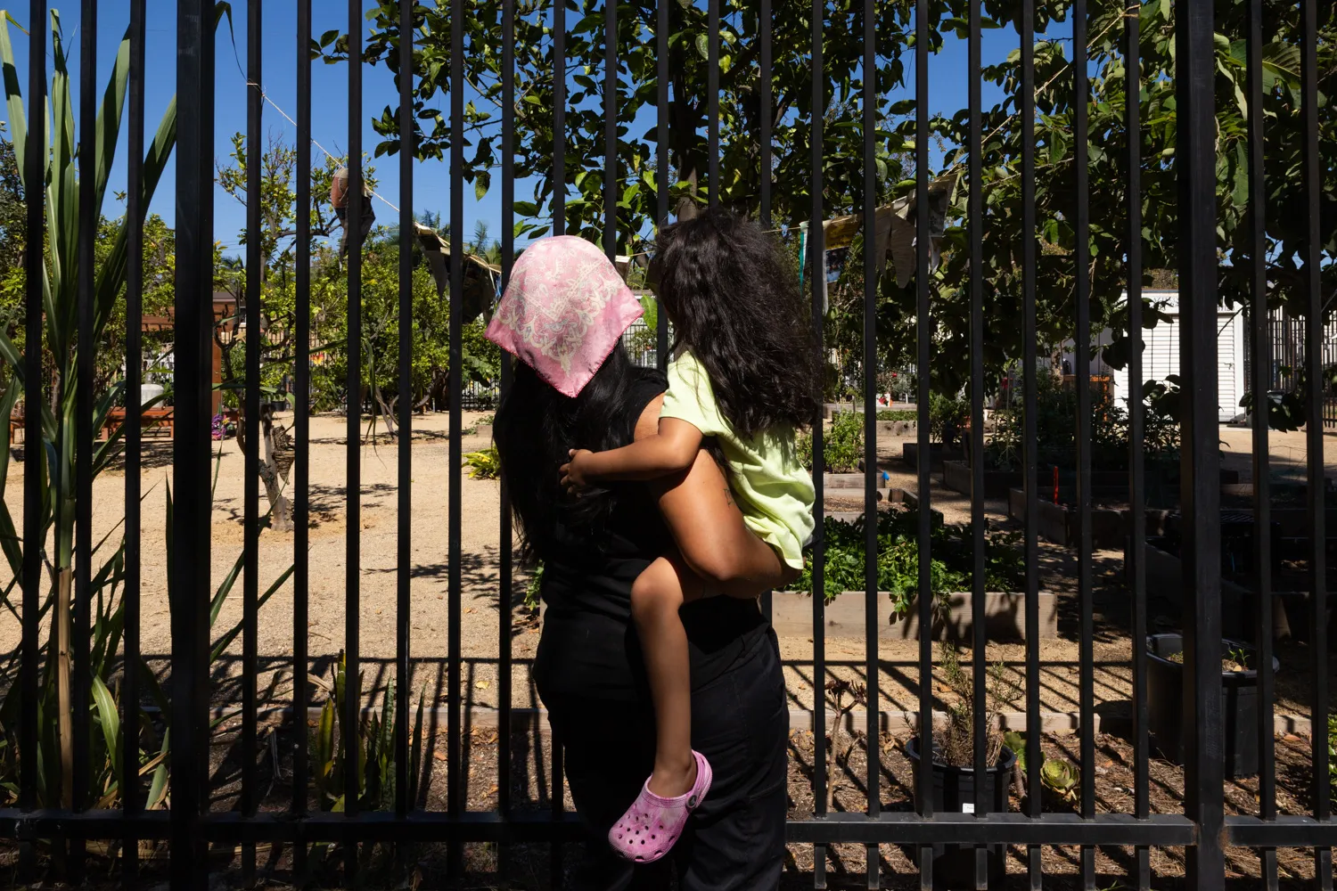 Santa Ana Community Gardens’ Future Shrouded in Confusion, Transparency Concerns