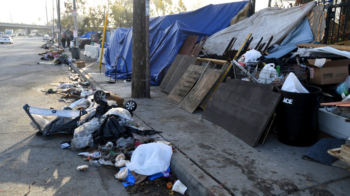 LA region has more homeless people on street, new data confirms – NBC Los Angeles