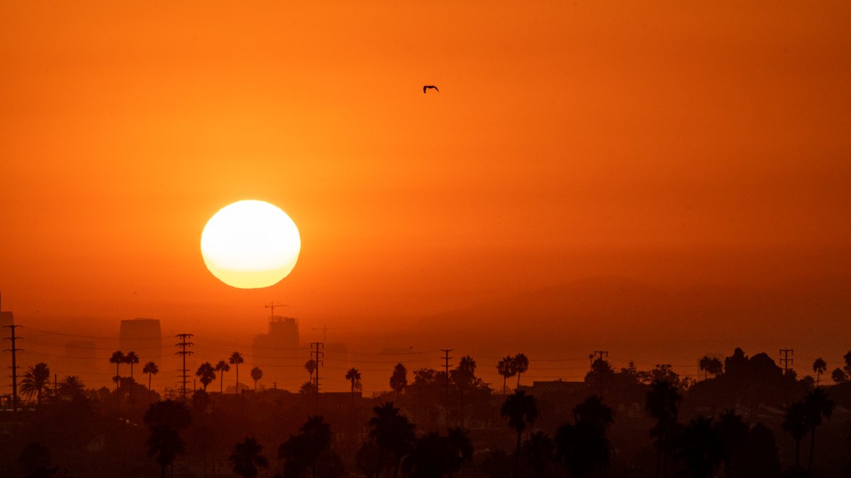 Extreme heat settles in across Southern California – NBC Los Angeles