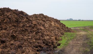 San Francisco Firm Plans $10M Human Composting Facility in North Carolina
