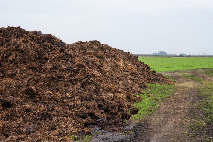 San Francisco Firm Plans $10M Human Composting Facility in North Carolina
