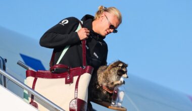 Haaland brings taxidermy raccoon back to Norway after World Cup – NBC Los Angeles