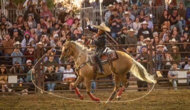 South County rodeo celebrates the region's agricultural heritage