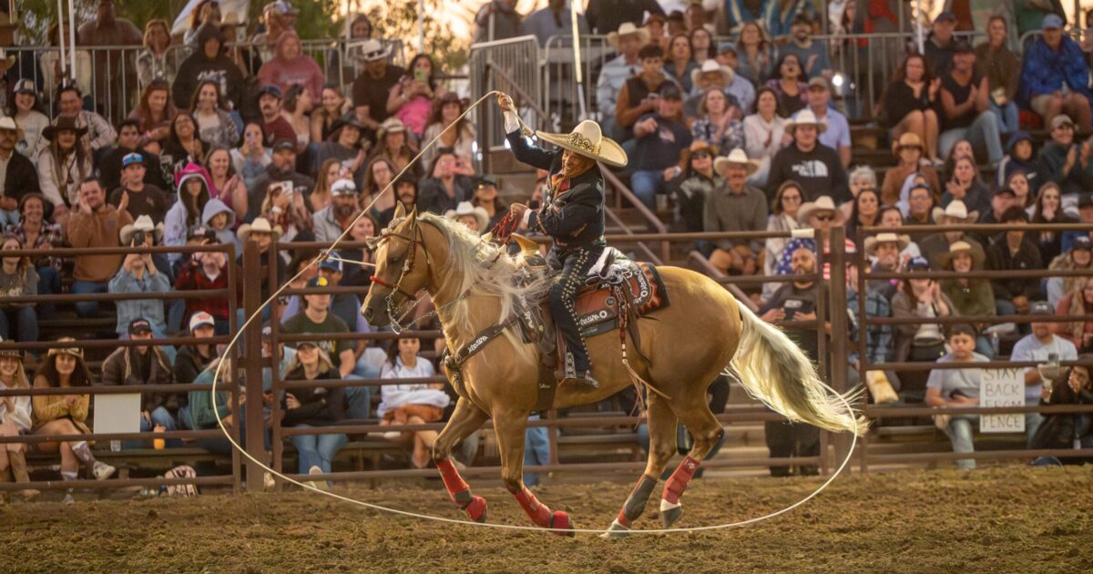 South County rodeo celebrates the region's agricultural heritage