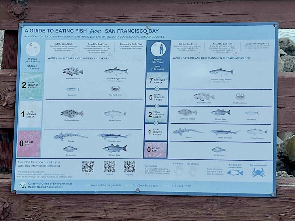 a sign with warnings about eating certain fish from the San Francisco Bay.