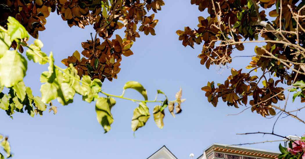 In San Francisco, Some Home Sellers Now Ask for OpenAI or Anthropic Stock