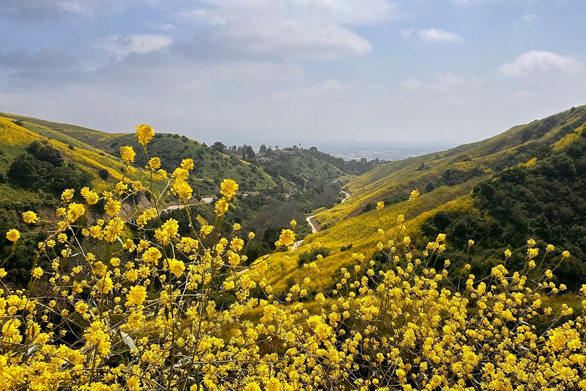 Hiking Trails in Anaheim