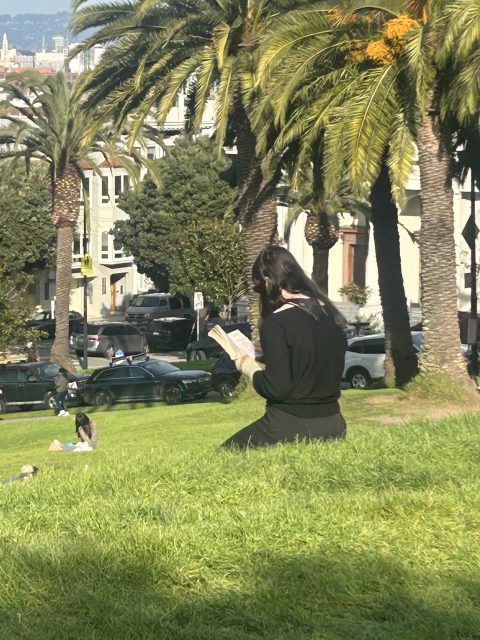 A person dressed in black sits on a grassy hill reading a book, with palm trees, parked cars, and buildings in the background.