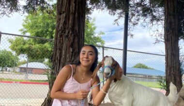 The Big Fresno Fair | Blog