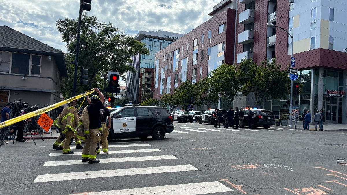 Video sheds light on deadly police shooting at downtown apartment – NBC 7 San Diego