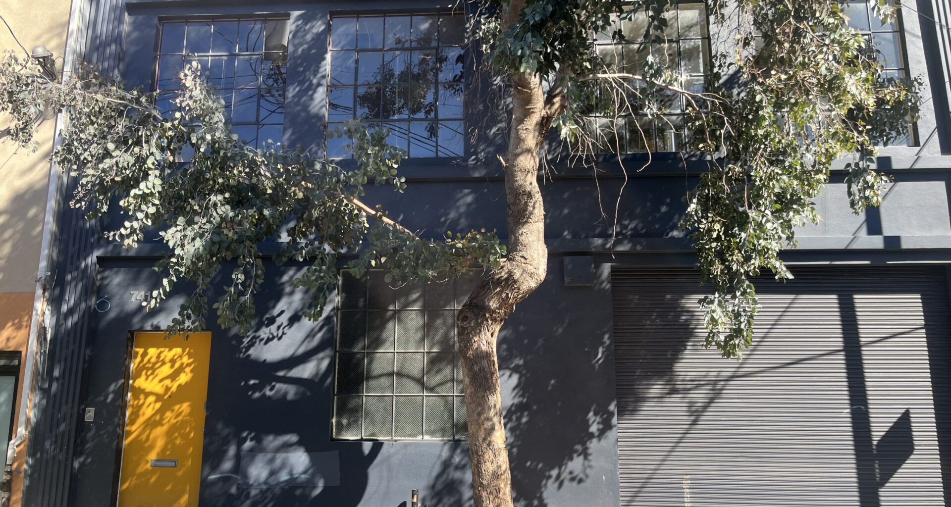 S.F. supes advance plan allowing for fees in place of planting trees