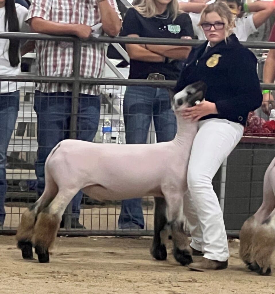 The Big Fresno Fair | Blog