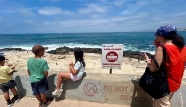 La Jolla sea lion attack video under investigation – NBC 7 San Diego