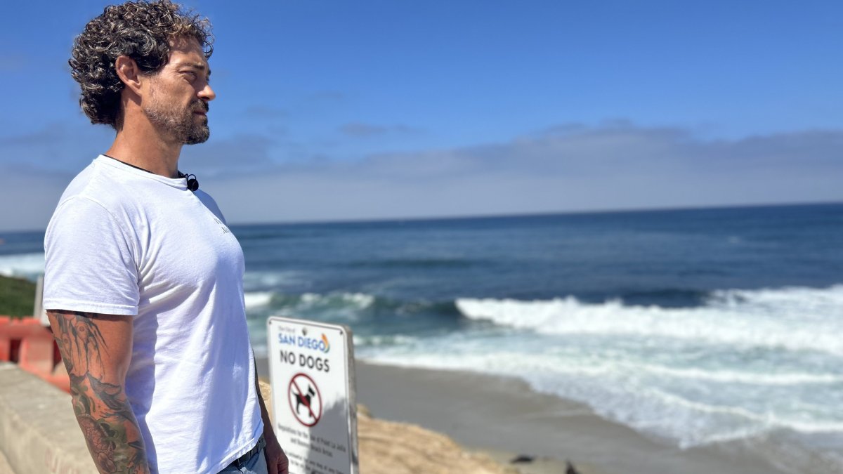 NOAA investigates viral La Jolla assault on sea lion – NBC 7 San Diego