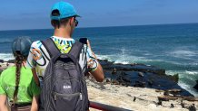 A visitor snaps a photo of sea lions resting on the rocks, La Jolla, Calif., July 30. 2026.