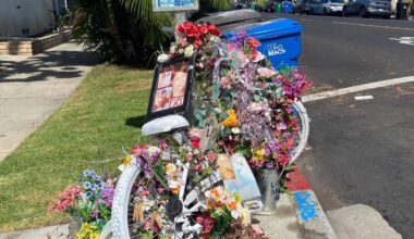 Traffic fatality memorial sign program would cost city $100K, officials say