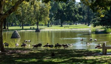Late night visitors to Sacramento’s Land Park spur concerns