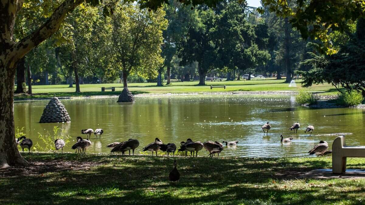 Late night visitors to Sacramento’s Land Park spur concerns