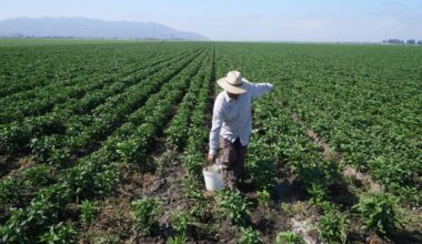 Conservation isn’t enough for California’s weather whiplash, we need reliable water – Orange County Register