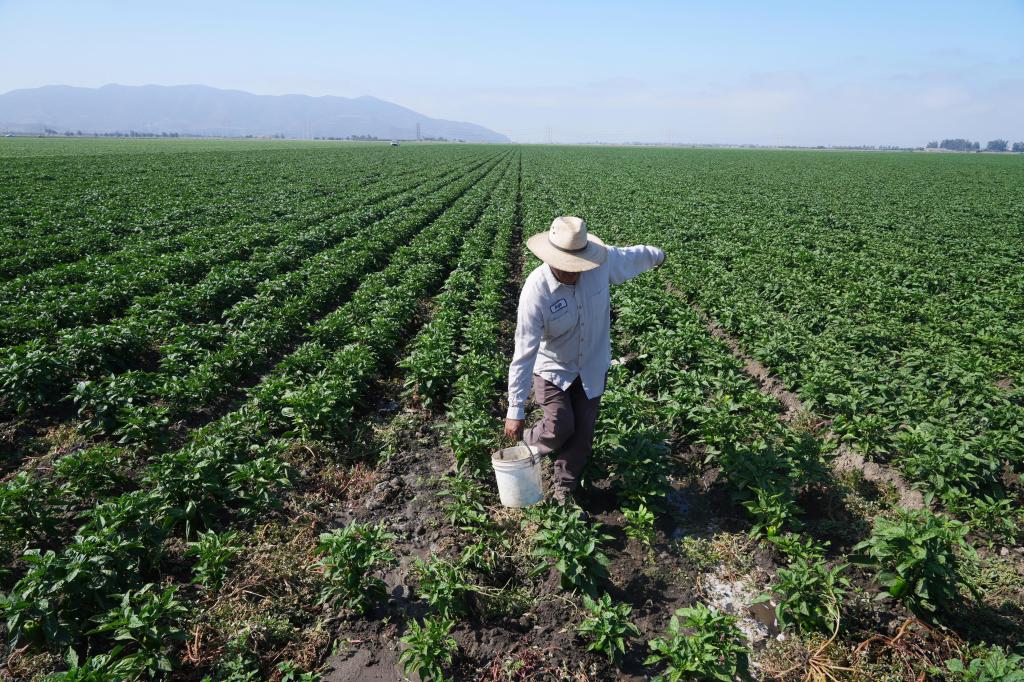 Conservation isn’t enough for California’s weather whiplash, we need reliable water – Orange County Register