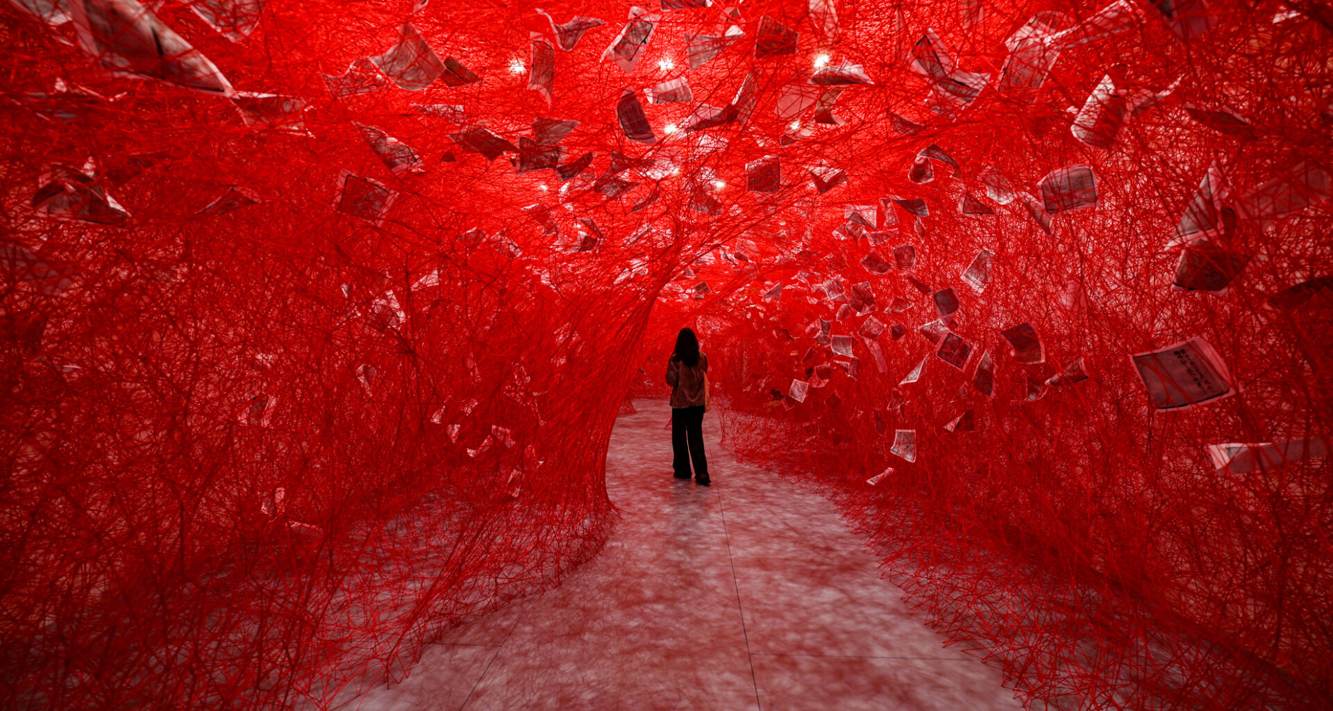 Looking for summer activities? SF LIVE arts platform now includes museums, galleries