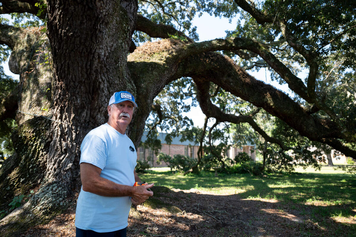 Larry Tucei explains the methodology for how live oak trees are measured Tuesday at the South Mississippi Regional Center in Long Beach.