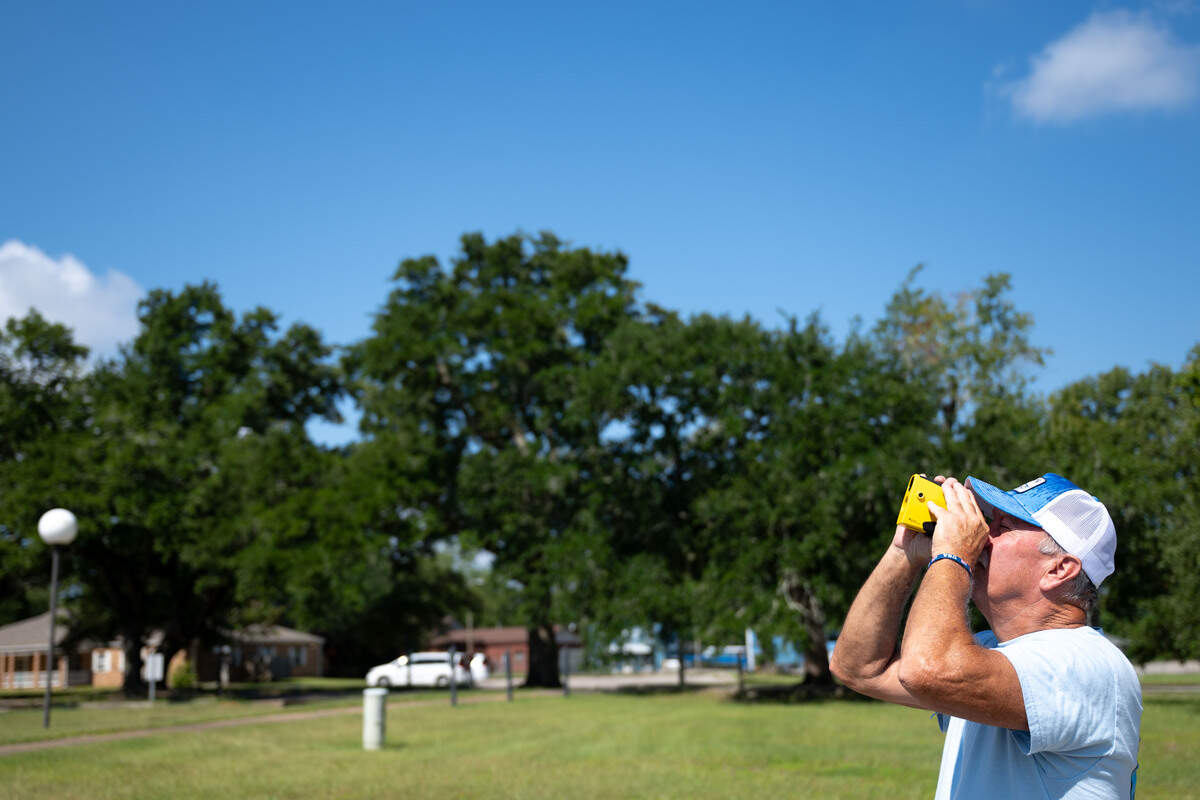 Larry Tucei uses a laser measuring tool to measure the height of the Sara Hunt Live Oak at the South Mississippi Regional Center in Long Beach.