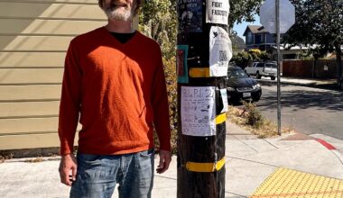 Hand-drawn polls on utility poles ask locals about West Berkeley