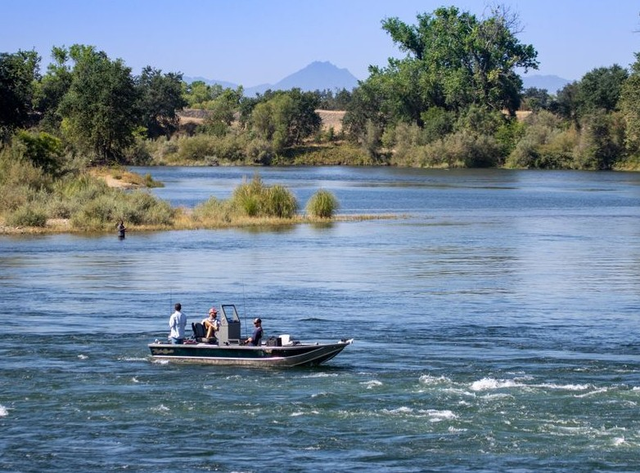 Popular bat tours return to Yolo Bypass area in July