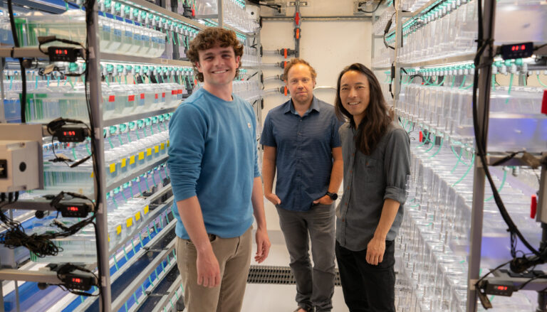 three men posing for the camera among many small, well-lit clear plastic tanks