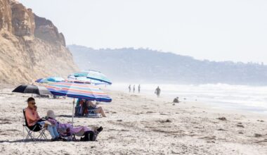Feedback sought for Torrey Pines State Beach ‘living shoreline project’ plans in La Jolla – San Diego Union-Tribune